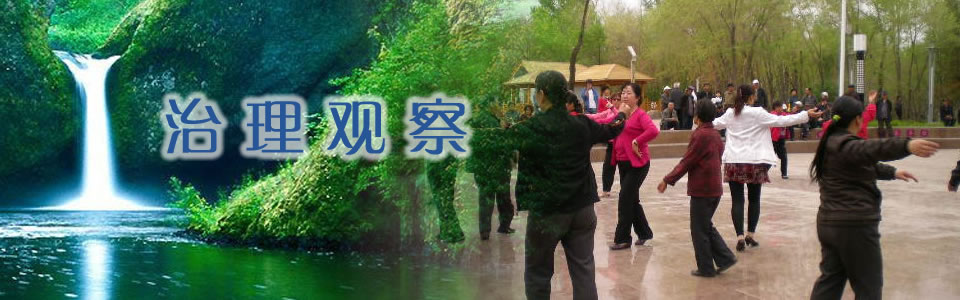 治理观察